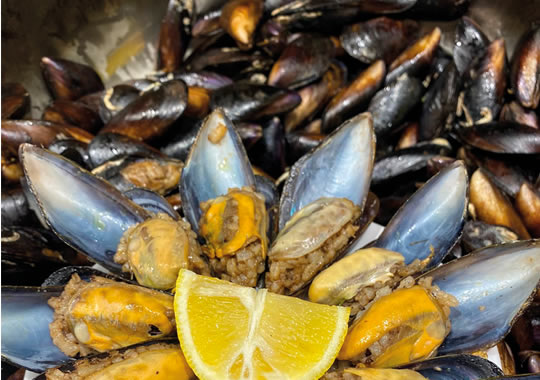 MİDYE T. PORSİYON (10 ADET)